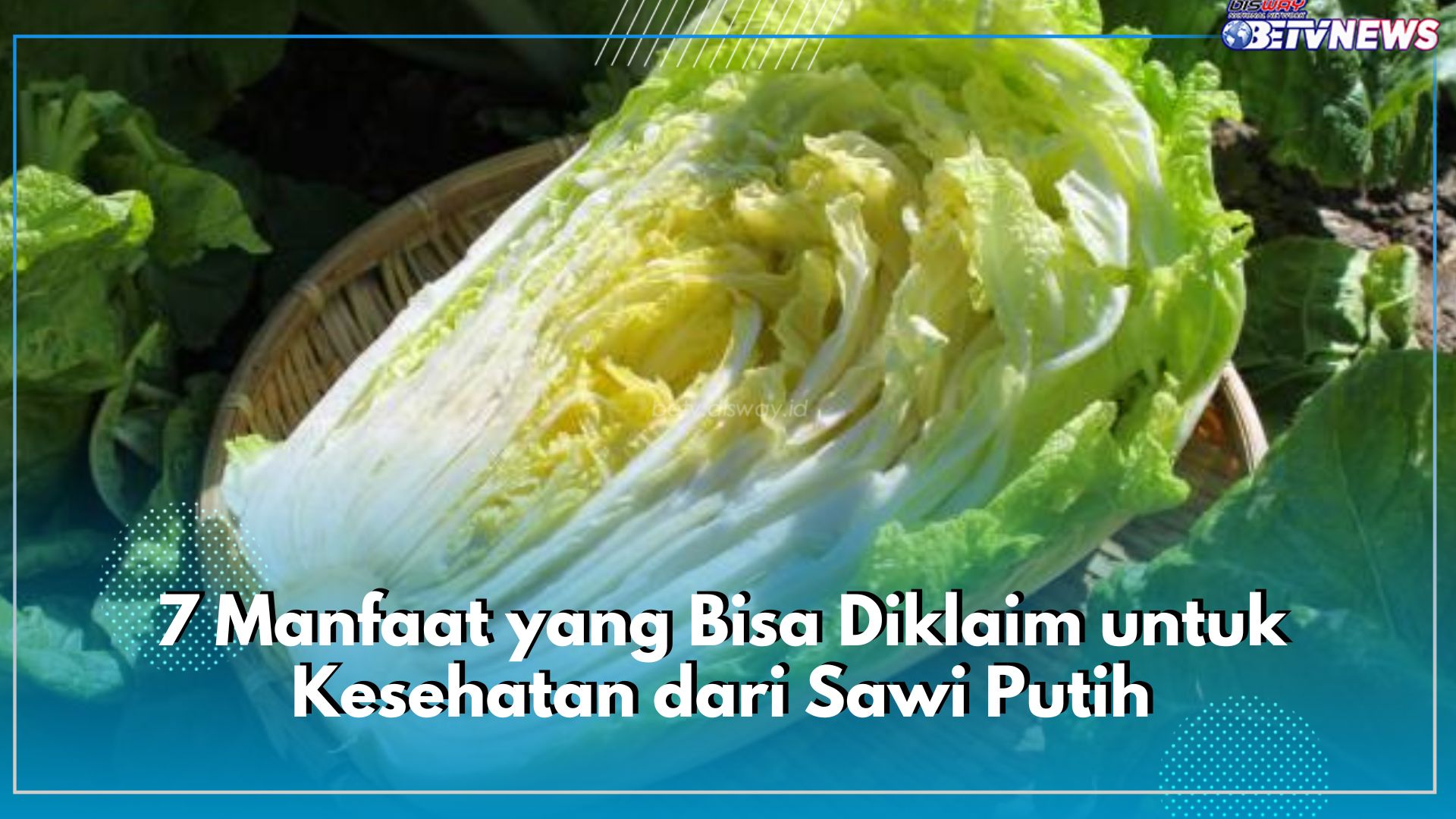 Sawi Putih Mengandung Mineral yang Tinggi, Cek di Sini 7 Manfaat yang Bisa Diklaim untuk Kesehatan