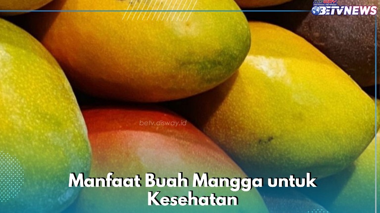 Buah Mangga Ampuh Meredakan Sembelit, Cek Manfaat bagi Kesehatan di Sini