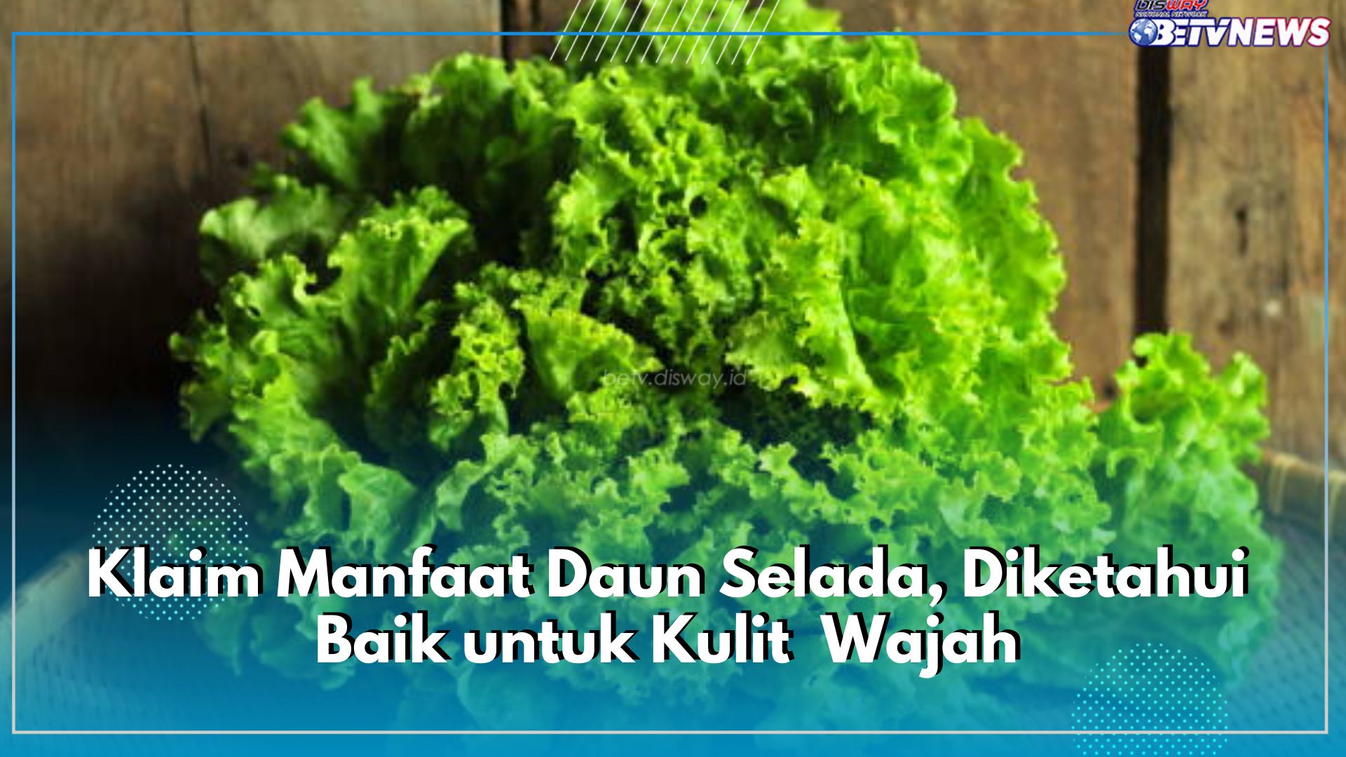 Klaim Manfaat Daun Selada, Diketahui Baik untuk Kulit  Wajah, Simak Ragam Khasiatnya bagi Kecantikan