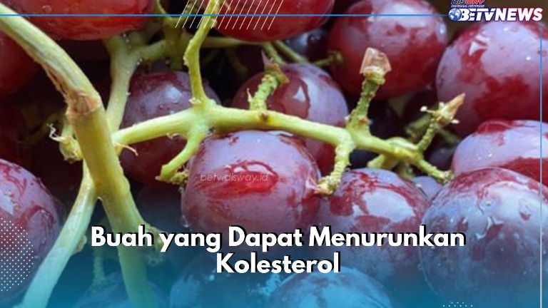 Penderita Kolesterol Perlu Tahu! Cukup Konsumsi 6 Buah Ini Aman untuk Kesehatan Tubuh