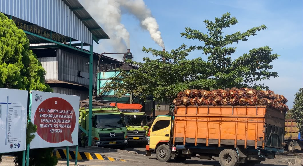 Harga Sawit PT SBS Naik Jadi Rp2.730 per Kilogram, Selisih Rp70 dengan PT BSL