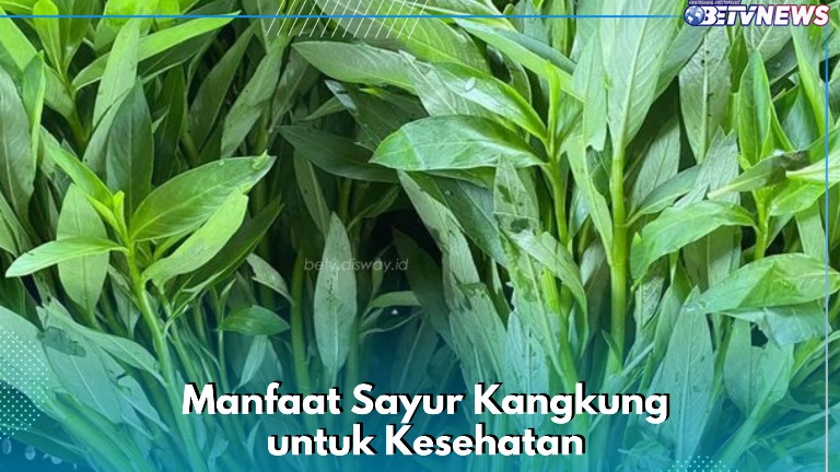 Sayur Kangkung Ini Antiradang, Cukup Konsumsi Secara Rutin, Cek Manfaatnya di Sini