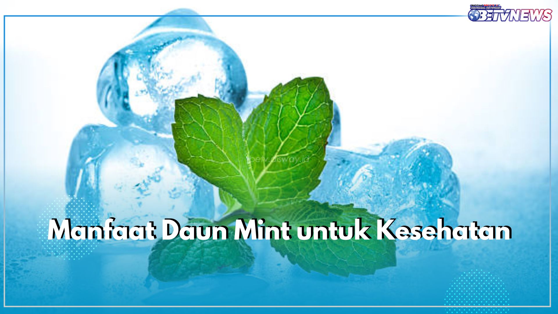 Dikenal Menyegarkan, Ini 5 Manfaat Daun Mint untuk Kesehatan, Bisa Bantu Lancarkan Pencernaan 