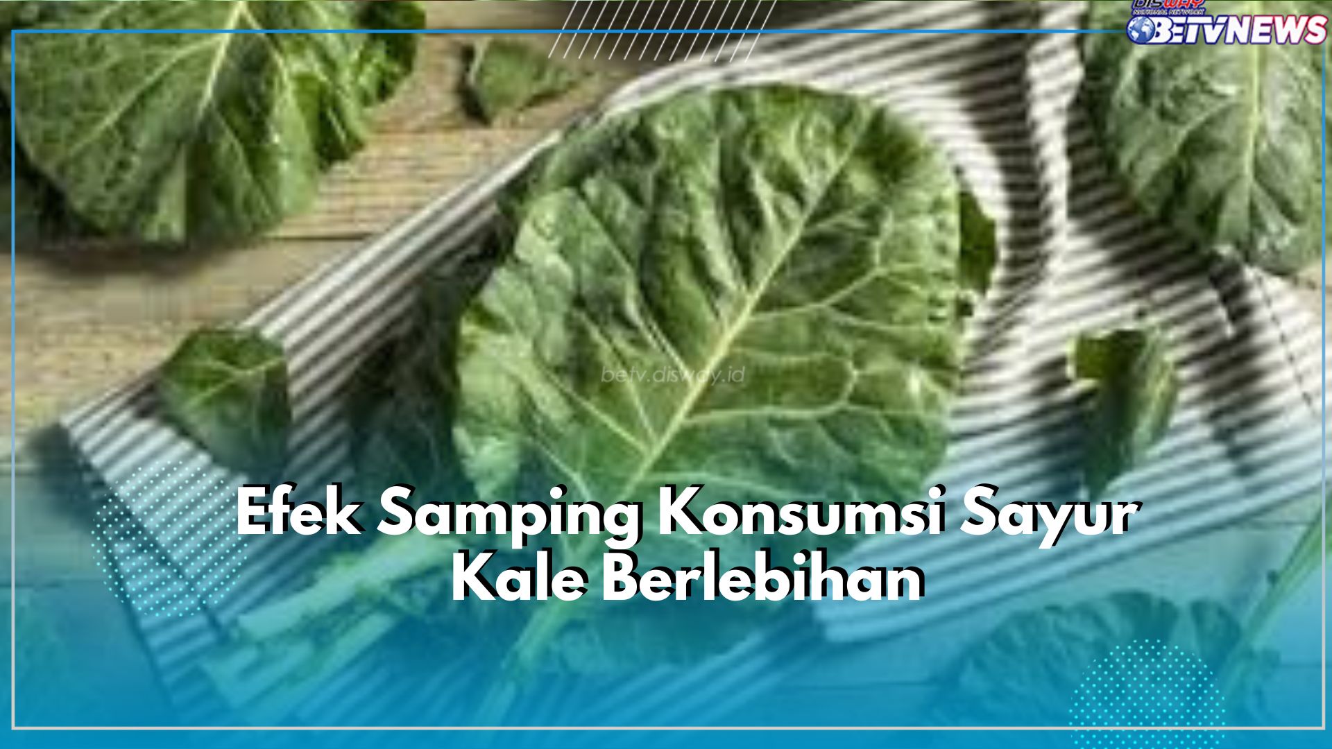 Waspadai! Ada Efek Samping yang Dirasakan Setelah Mengonsumsi Sayur Kale Berlebihan, Cek!
