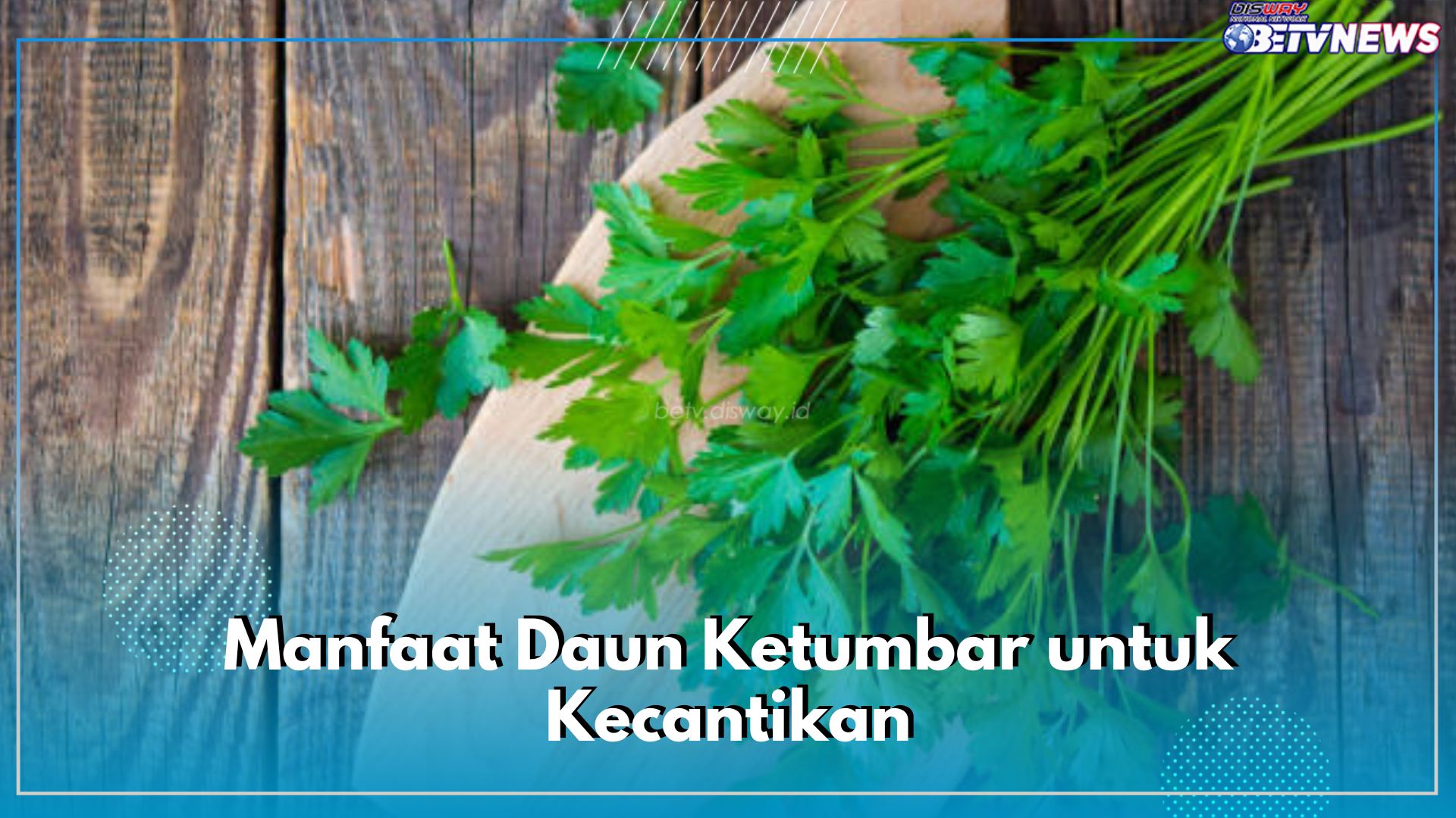 Ini 7 Manfaat Daun Ketumbar untuk Kecantikan yang Jarang Sekali Diketahui, Cek Disini