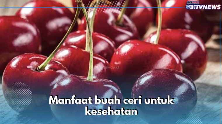 6 Manfaat Buah Ceri untuk Kesehatan, Nomor 3 Bantu Kurangi Stres Oksidatif, Cek yang Lain