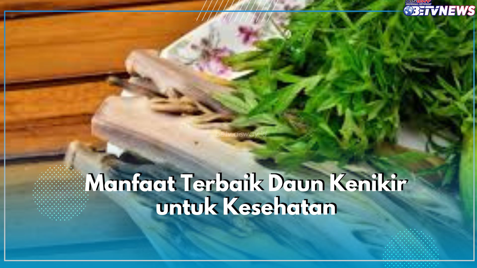 Nafsu Makanmu Berkurang? Coba Atasi dengan Konsumsi Daun Kenikir, Cek Manfaat Lainnya Disini!