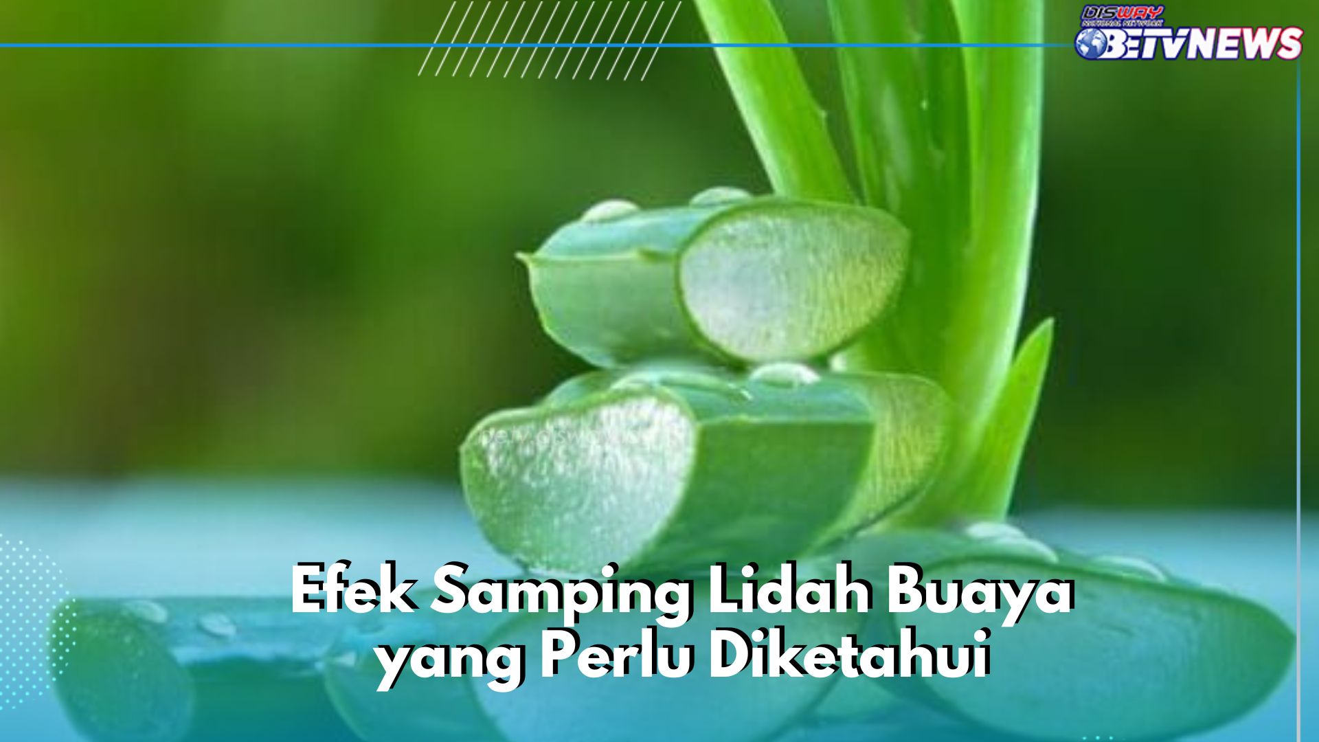 Secukupnya Saja! Ini 6 Efek Samping Lidah Buaya yang Perlu Diketahui, Bisa Sebabkan Alergi