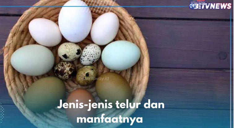 Mengenal Macam-macam Telur dan Manfaatnya, Mulai dari Telur Ayam hingga Kaviar, Pernah Makan yang Mana?