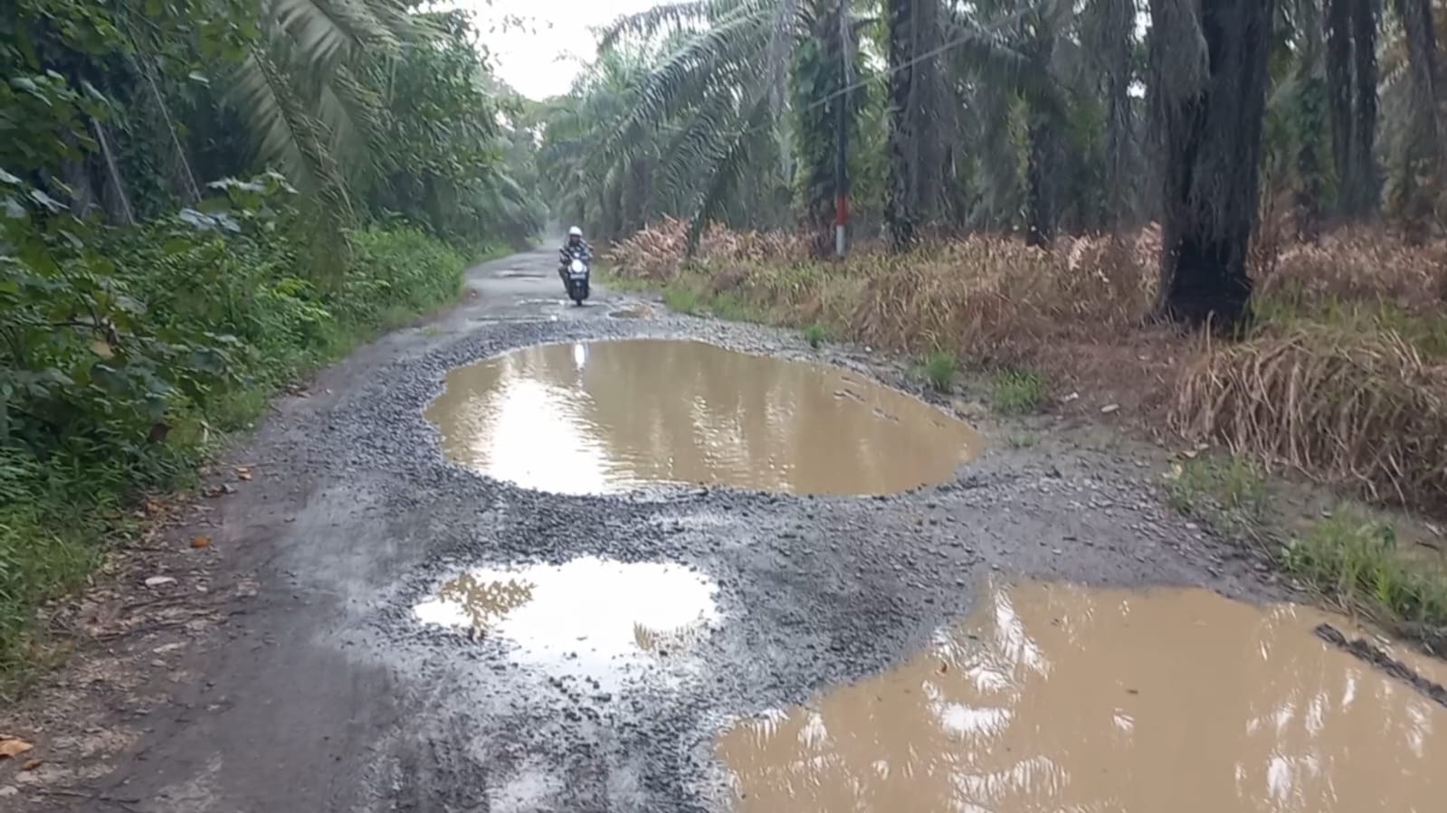 Puluhan Tahun Tak Tersentuh Pembangunan, Warga Minta Pemerintah Perbaiki Jalan Desa Rawa Indah