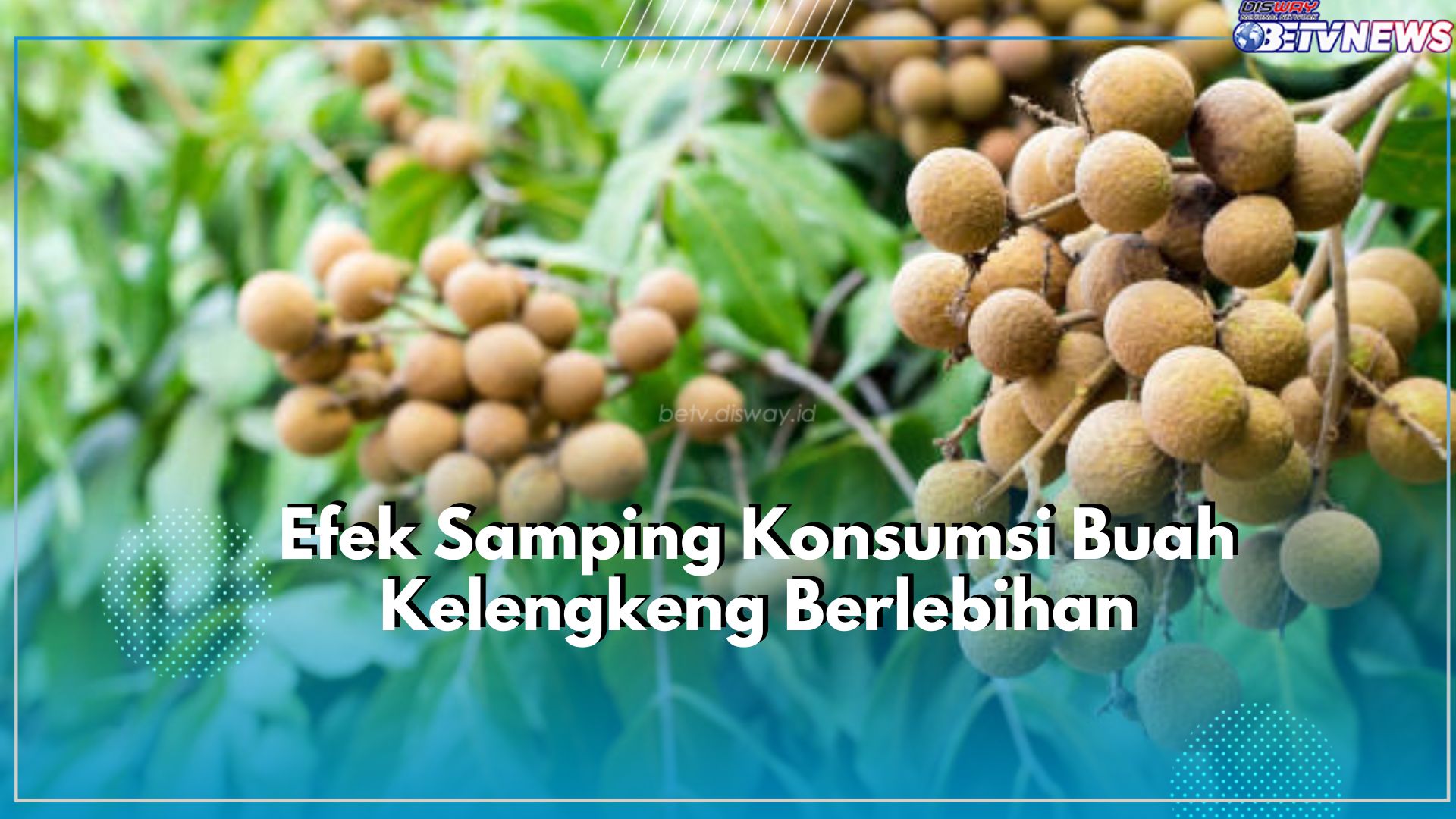 Tak Baik untuk Tubuh, Inilah Efek Samping Buah Kelengkeng yang Jadi Penyebab Terganggunya Kesehatan