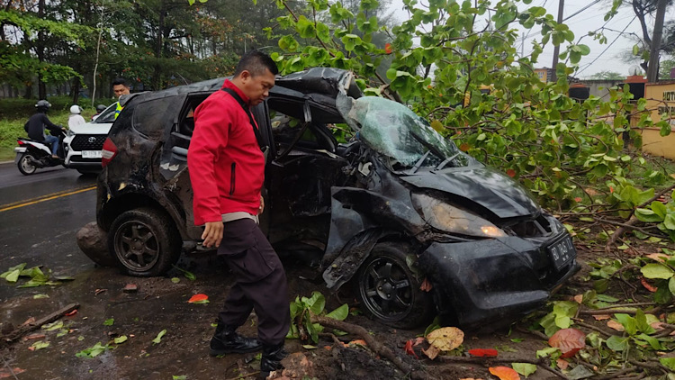 Ngeri! Mobil Jazz Ringsek Parah usai Tabrak Pohon di Pantai Panjang, Begini Kondisi Sopir