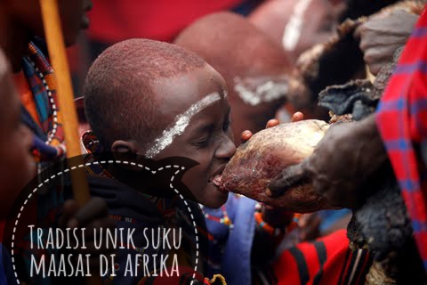 Tradisi Suku Maasai di Afrika, Minum Darah Sapi yang Segar Buat Kekebalan Tubuh