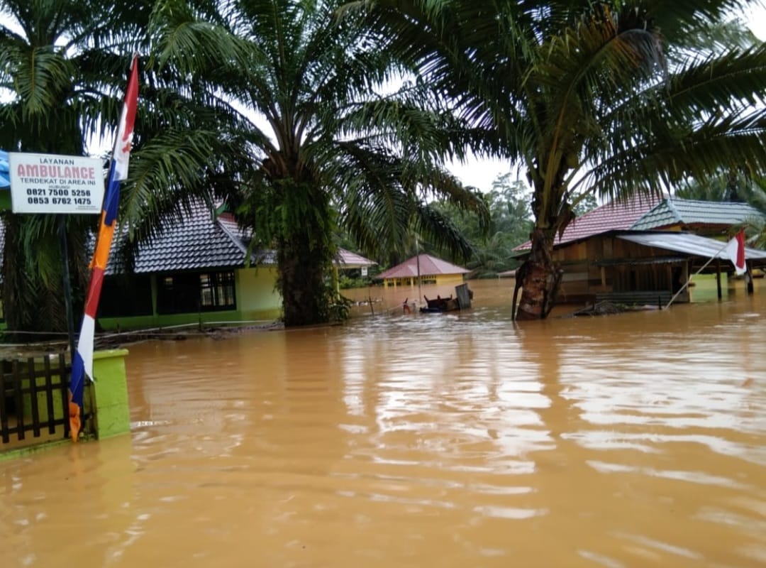 Banjir Kembali Melanda Desa dan Persawahan Srikuncoro