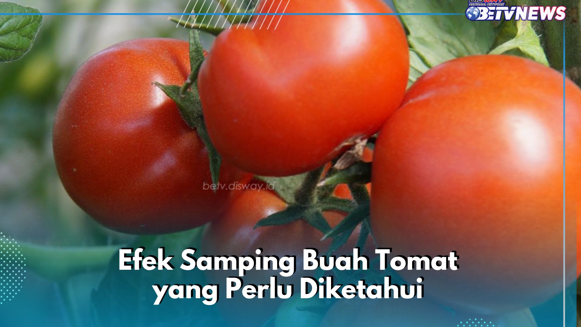Cek di Sini! Efek Samping dari Konsumsi Buah Tomat, Dapat Sebabkan Gangguan Pencernaan