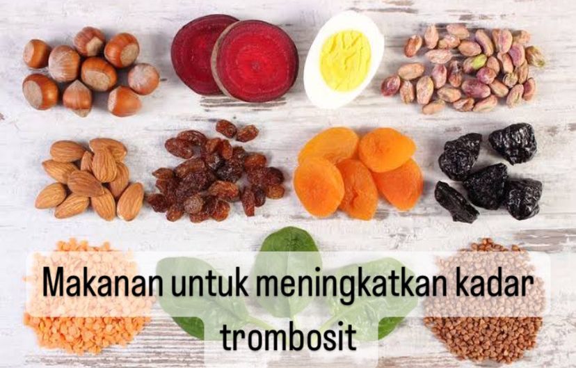 Baik Dikonsumsi saat Sakit Demam Berdarah, Ini 10 Makanan yang Efektif Tingkatkan Kadar Trombosit