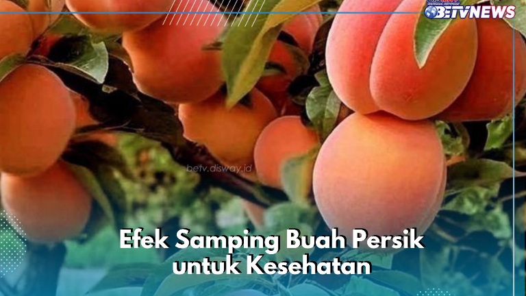 Efek Samping Makan Buah Persik untuk Kesehatan, Hati-hati Bisa Sebabkan Reaksi Alergi