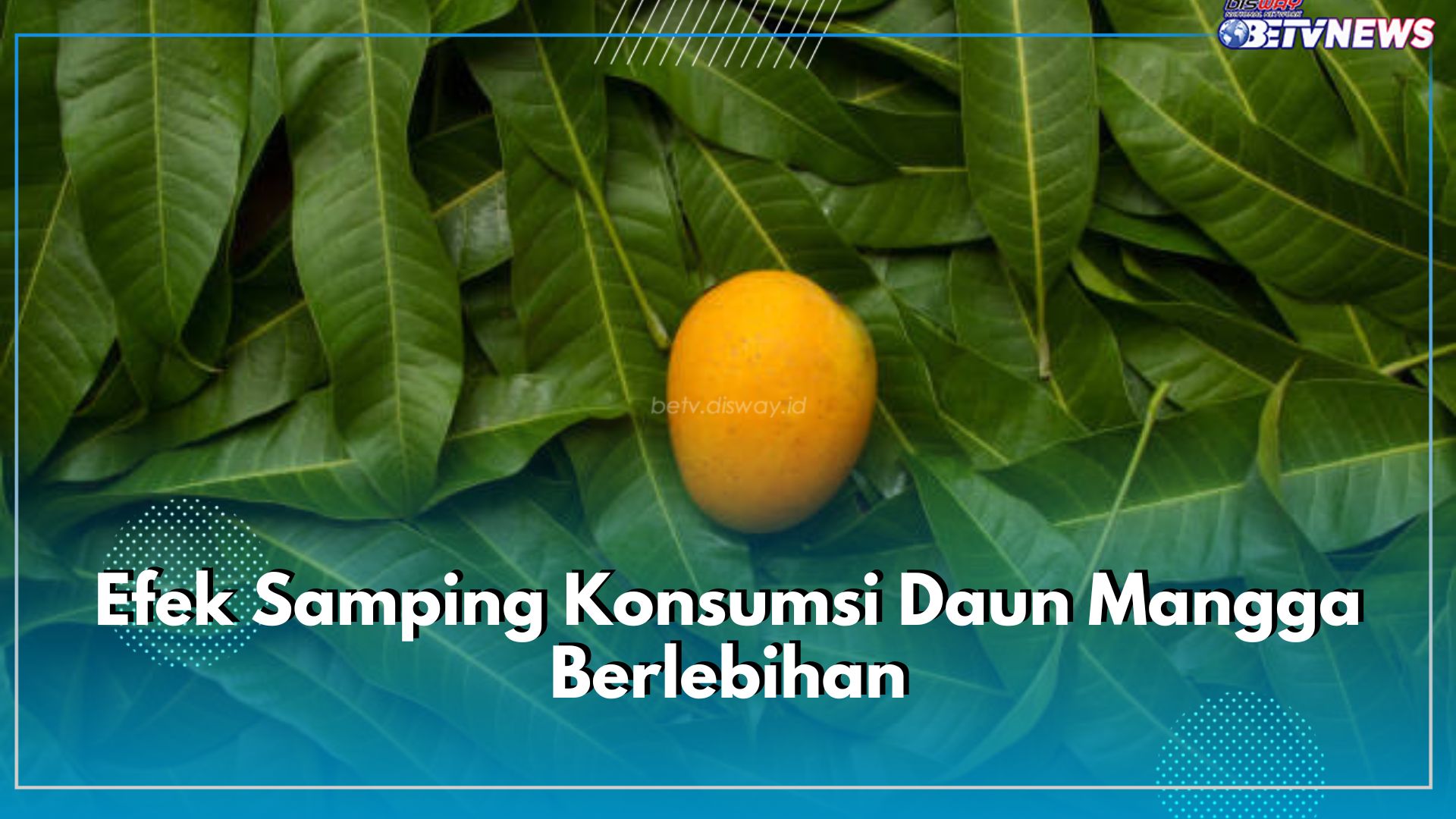 Wajib Tahu! Ini 5 Efek Samping Konsumsi Daun Mangga Berlebihan, Bisa Sebabkan Gangguan Fungsi Hati