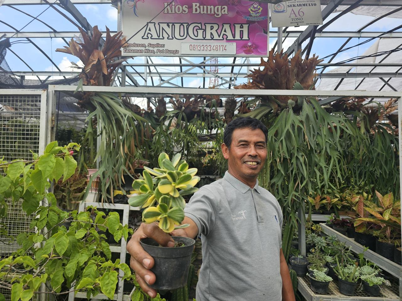 Sukses Jadi Mata Pencaharian Warga Sekitar, Ini Kisah Klaster Usaha Tanaman Hias Binaan BRI 