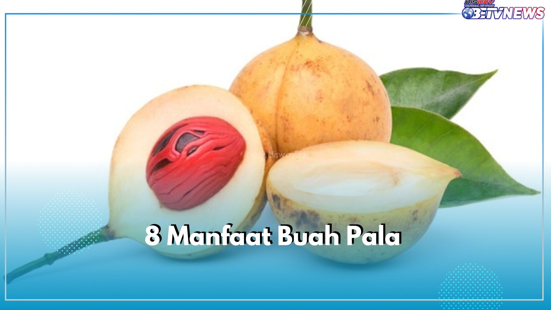 Inilah 8 Manfaat Buah Pala, Jangan Lewatkan Khasiatnya bagi Kesehatan, Tak Kalah dari Rempah Lainya