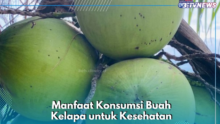 Buah Kelapa Punya Manfaat Mengatur Kadar Gula Darah, Cek Lainnya di Sini