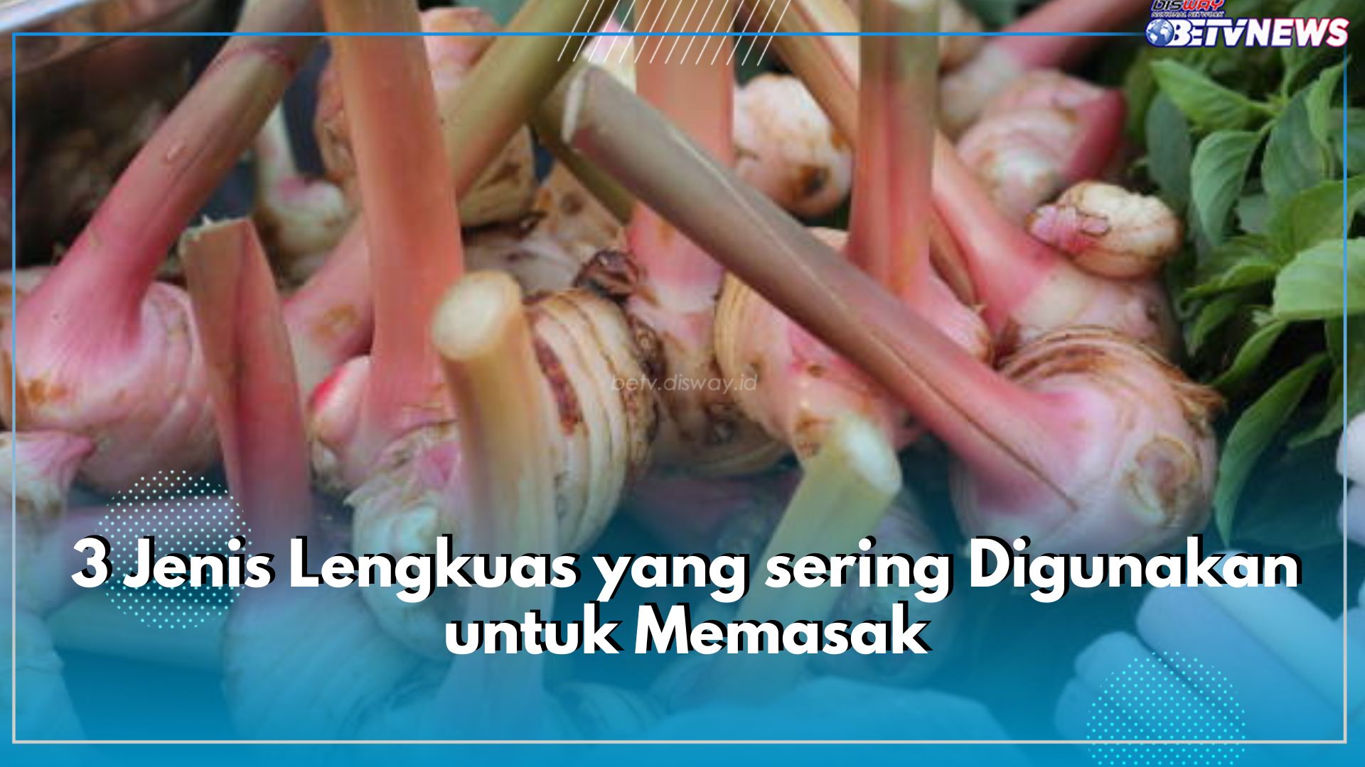 Ada 3 Jenis Lengkuas yang sering Digunakan untuk Memasak, Simak di Sini! 