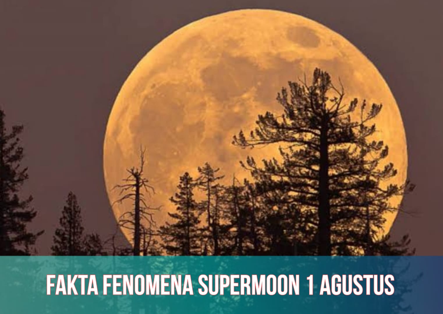 6 Fakta Fenomena Supermoon 1 Agustus, Ternyata Bakal Terjadi Dua Kali dalam Sebulan