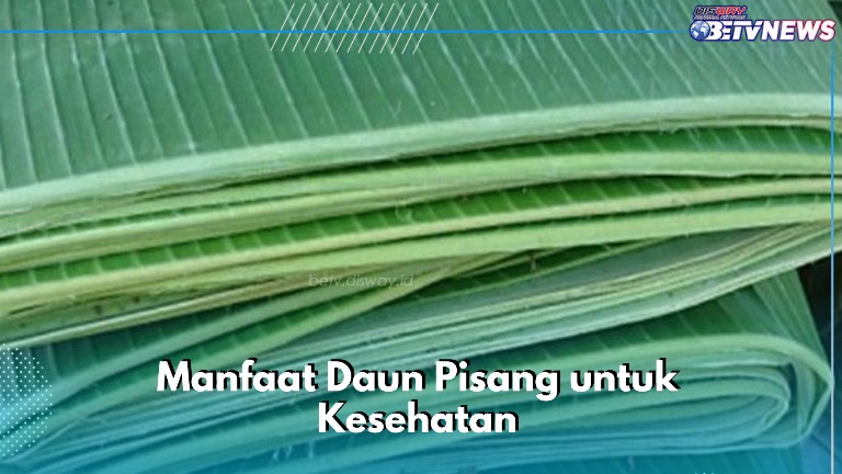 Manfaat Daun Pisang Ini Ampuh Mengatasi Masalah Kulit, Cek Lengkapnya di Sini