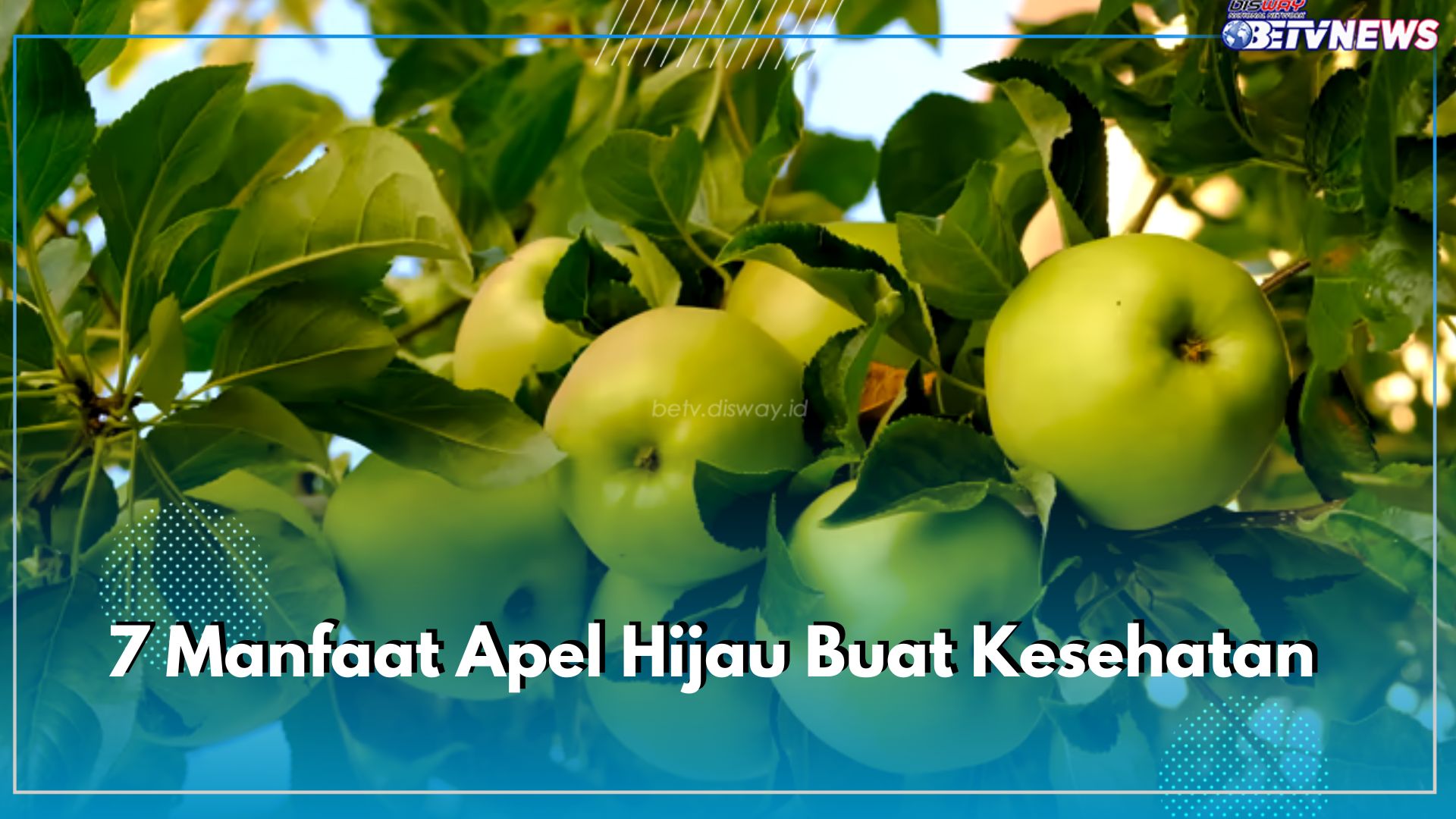 Inilah 7 Manfaat Apel Hijau Buat Kesehatan, Tinggi Serat Sehingga Baik untuk Sistem Pencernaan