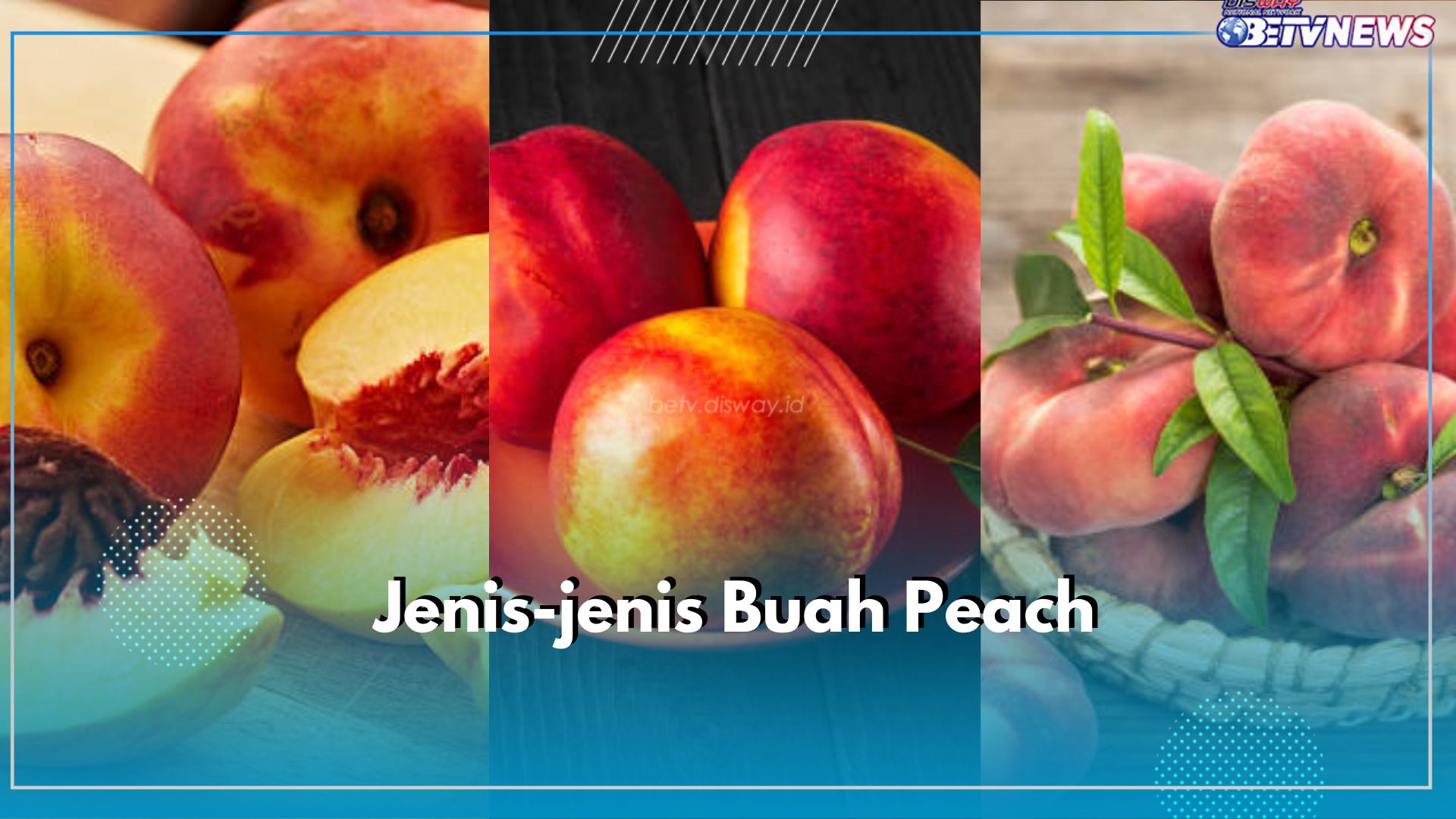 Ini 5 Jenis Buah Peach yang Perlu Kamu Ketahui, Ada Peach Clingstone hingga Donut, Cek di Sini