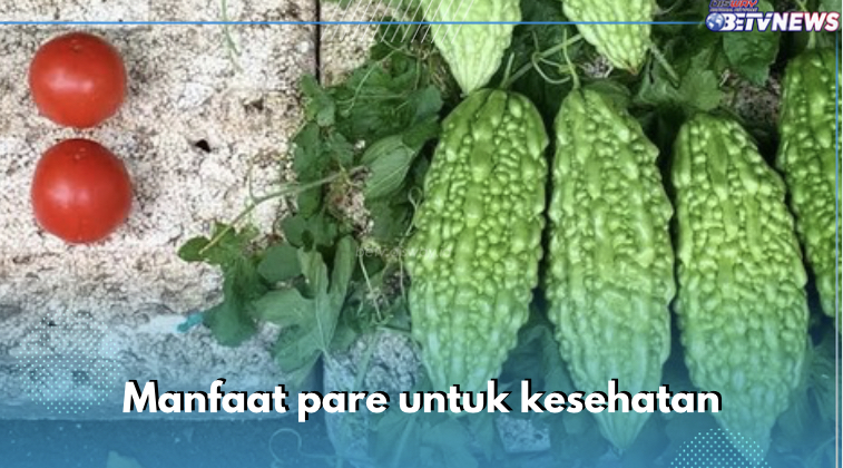 Cakap Redakan Gangguan Pernapasan, Pare Tawarkan 10 Manfaat Ini untuk Kesehatan, Cek Sekarang