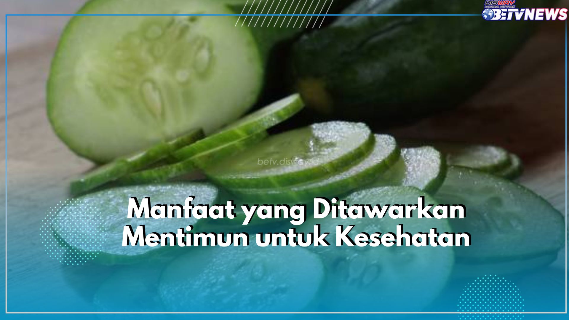Cocok Jadikan Obat Diet Alami, Kenali Disini Manfaat Lain Dari Mentimun untuk Jaga Kesehatan Tubuh
