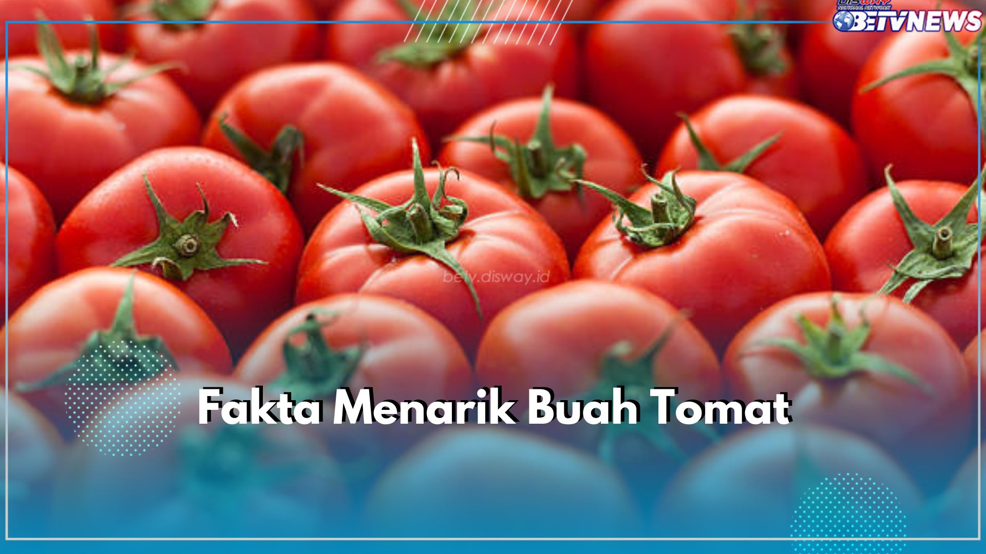 8 Fakta Menarik Buah Tomat yang Perlu Kamu Ketahui, Ada yang Berukuran Raksasa!