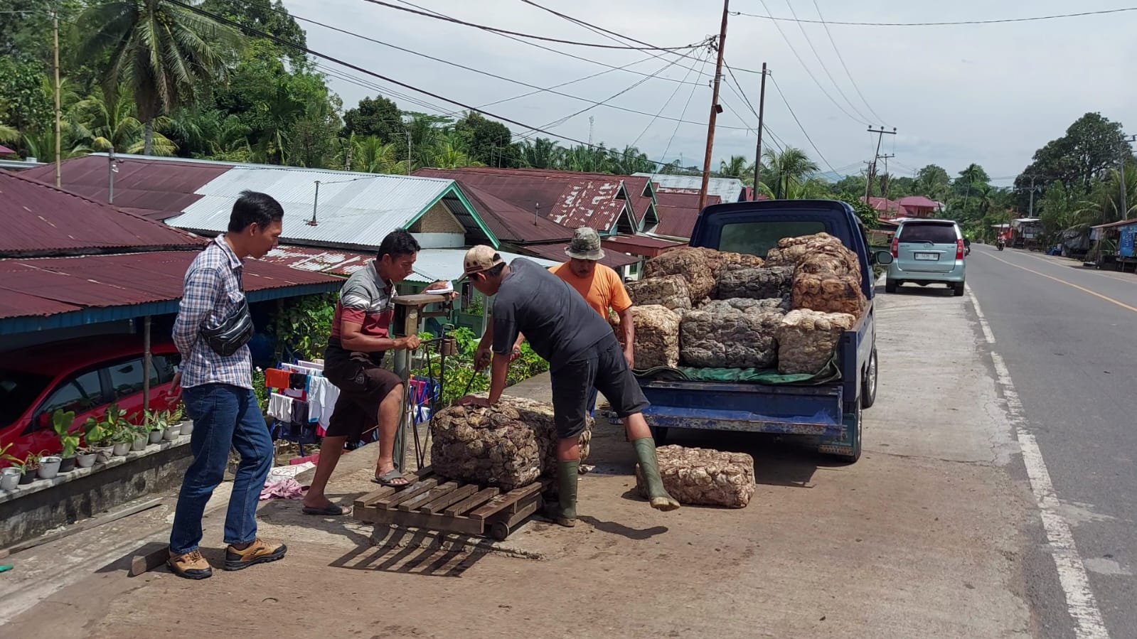 Dampak Pabrik Karet di Bengkulu Tengah Tutup, Ini yang Terjadi pada Pengepul 