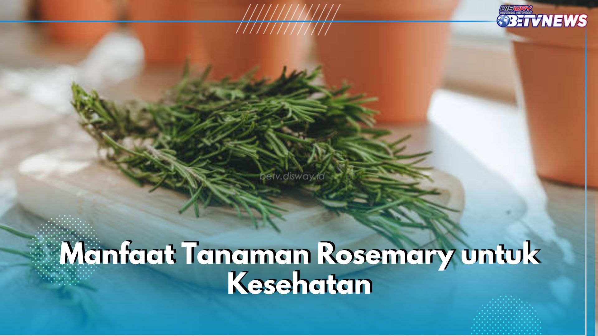  7 Manfaat Tanaman Rosemary untuk Kesehatan, Tingkatkan Fungsi Otak hingga Kurangi Kecemasan