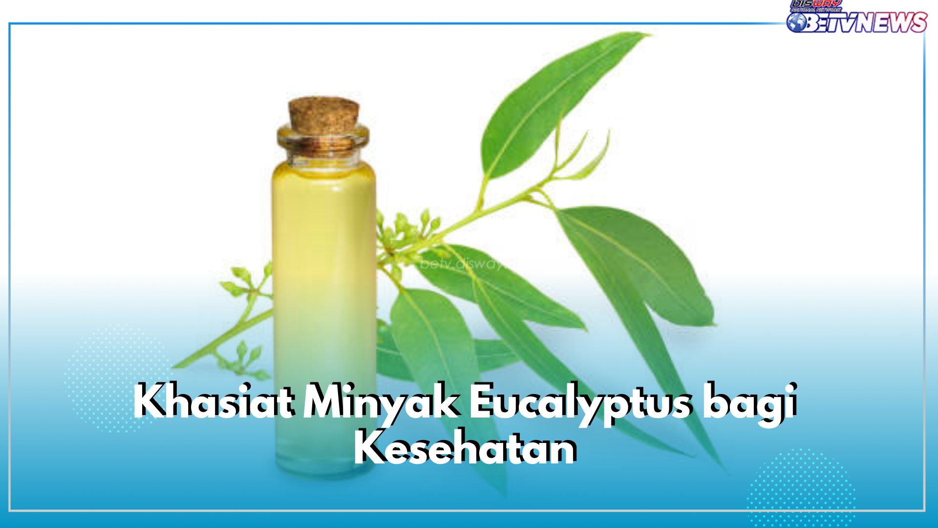 Punya Manfaat Pengobatan, Ini Khasiat Minyak Eucalyptus bagi Kesehatan