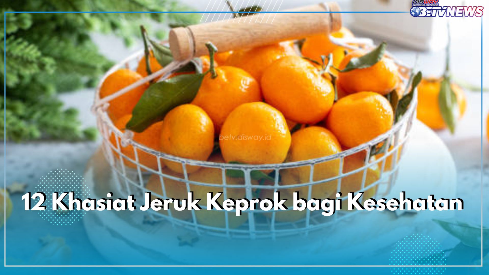 Jeruk Keprok Punya Banyak Manfaat untuk Kesehatan, Cek 12 Khasiat yang Bisa Diklaim di Sini