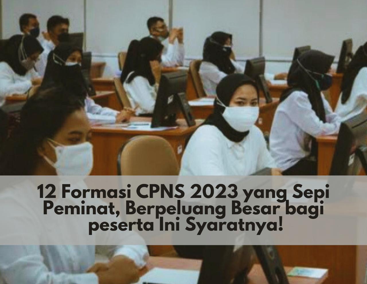 Tertarik Daftar? 12 Formasi CPNS 2023 yang Sepi Peminat, Berpeluang Besar bagi Peserta Ini Syaratnya! 