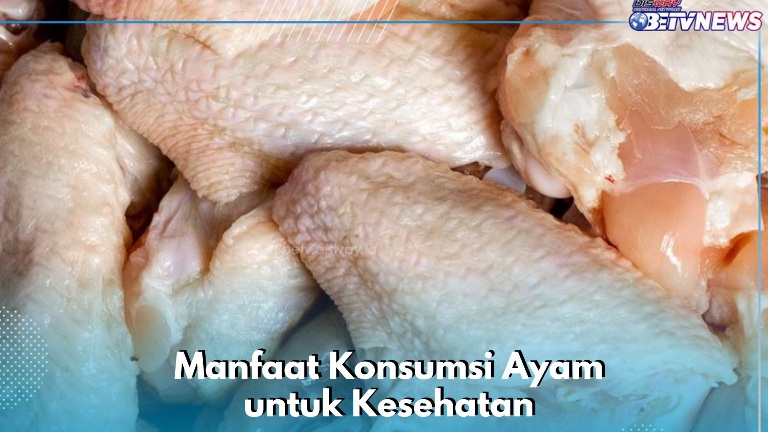 Ampuh Mengontrol Tekanan Darah, Ini Manfaat Lain Konsumsi Ayam untuk Kesehatan