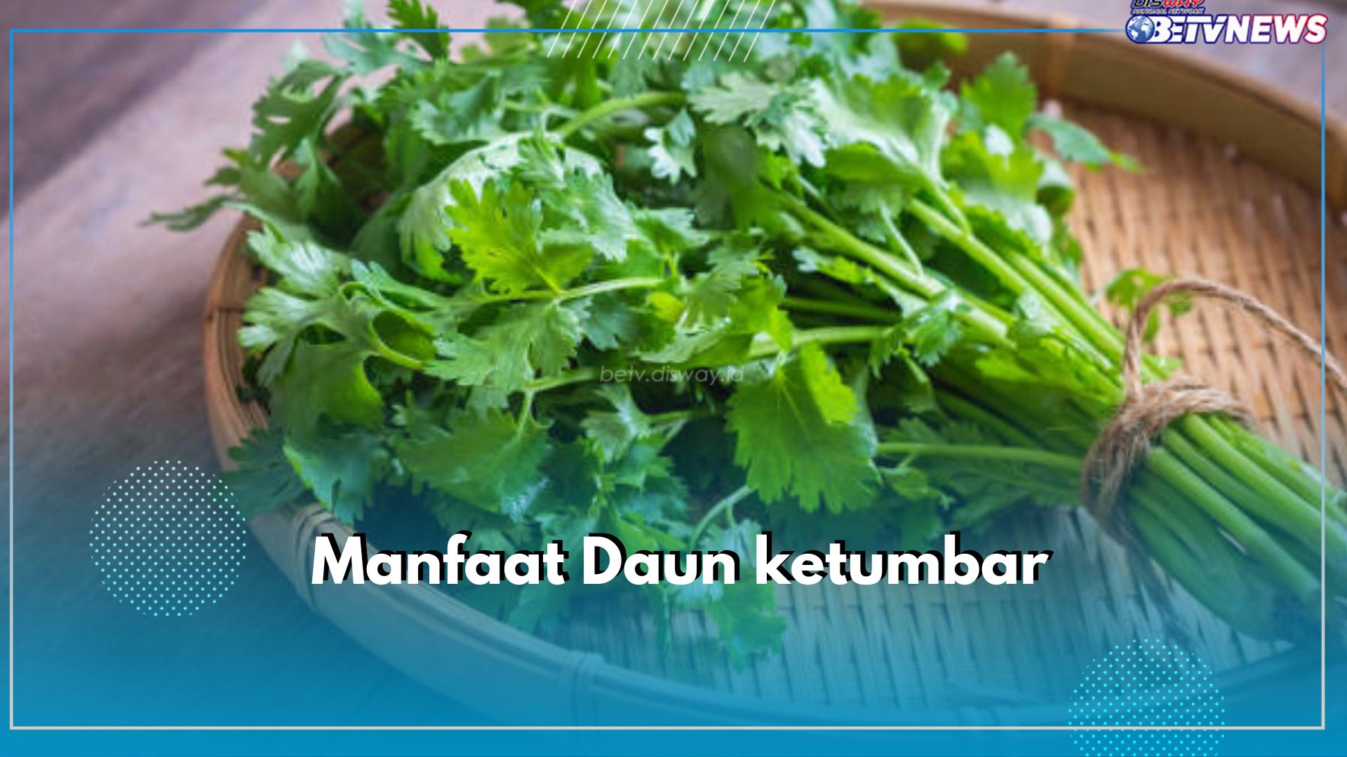 5 Manfaat Konsumsi Daun Ketumbar untuk Tubuh, Salah Satunya Menurunkan Gula Darah Penderita Diabetes