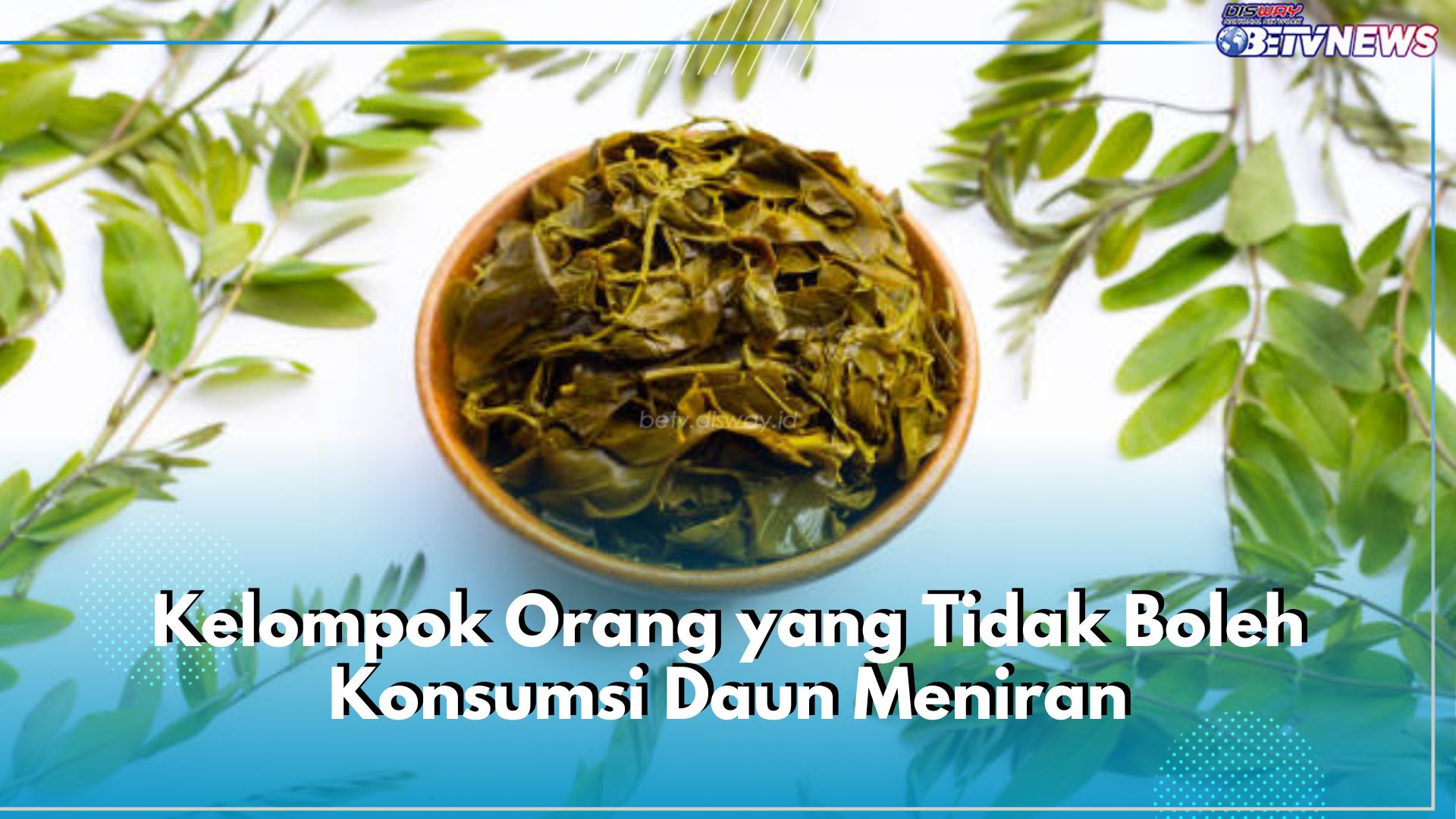 Bukan untuk Semua Orang, 5 Kelompok Ini Tak Boleh Konsumsi Daun Meniran, Siapa Saja?