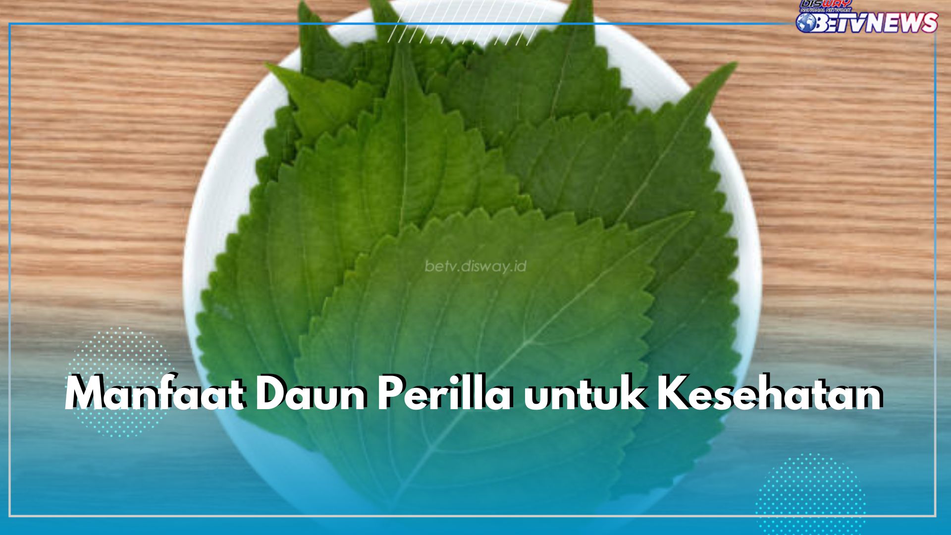 Daun Sehat Favorit Semua Orang, Intip 8 Manfaat Mengonsumsi Perilla untuk Kesehatan