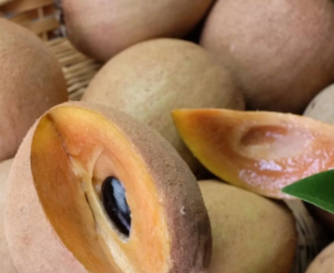 Cek di Sini! 7 Efek Samping Buah Sawo bagi Kesehatan, Hati-hati Berlebihan 