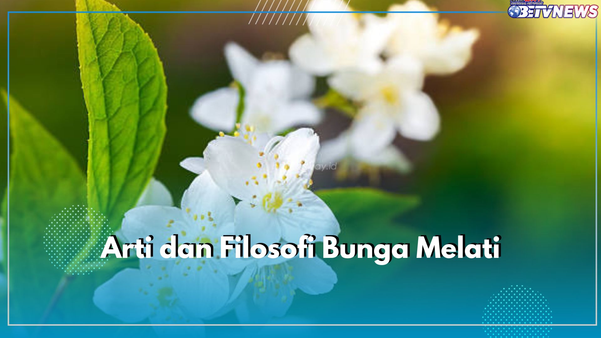 Erat dengan Hal Mistis, Ternyata Ini 7 Arti Bunga Melati dan Filosofinya, Jadi Simbol Kesucian