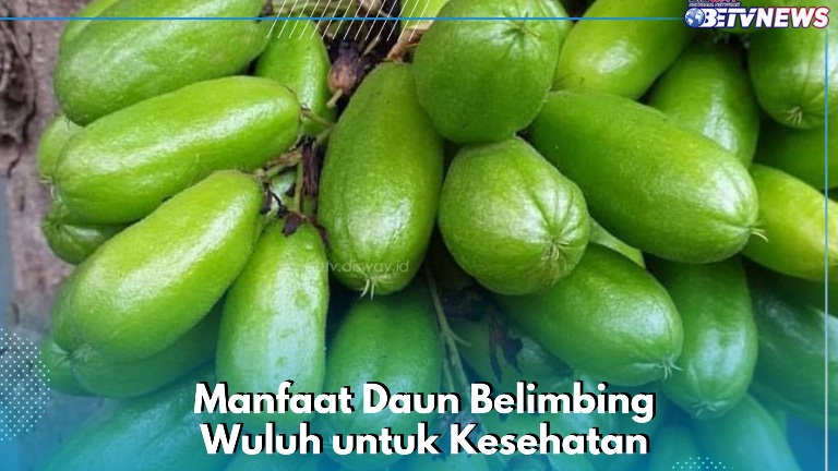  Ampuh Mengatasi Gigi Berlubang, Cek Manfaat Daun Belimbing Wuluh Ini yang Perlu Diketahui