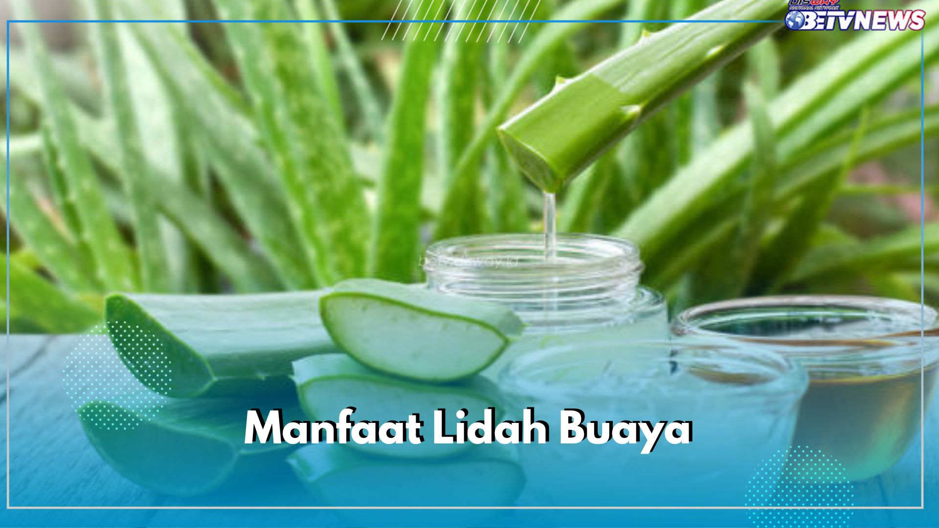 Aman Dikonsumsi Secara Langsung, Dapatkan 10 Manfaat Lidah Buaya Ini untuk Kesehatan