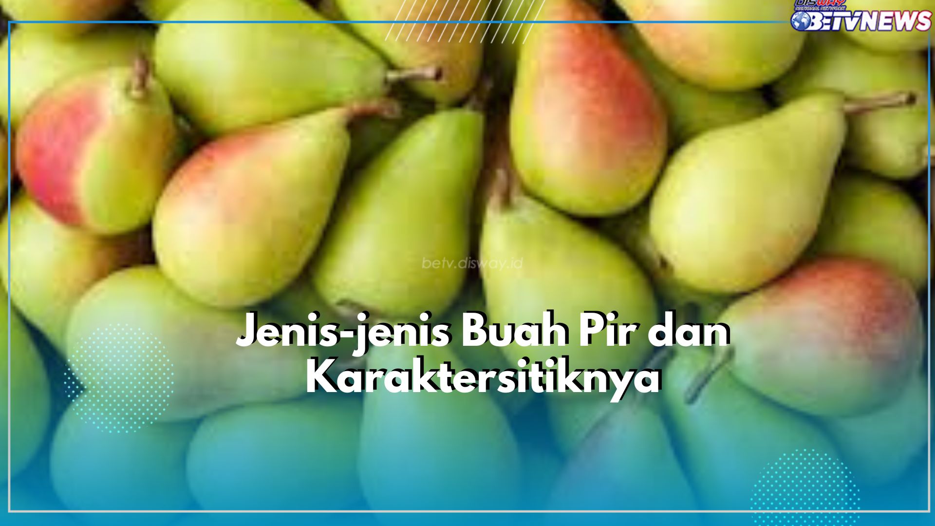 Punya Ciri Khas dan Karakteristik yang Berbeda, Cek Disini Jenis-jenis dari Buah Pir