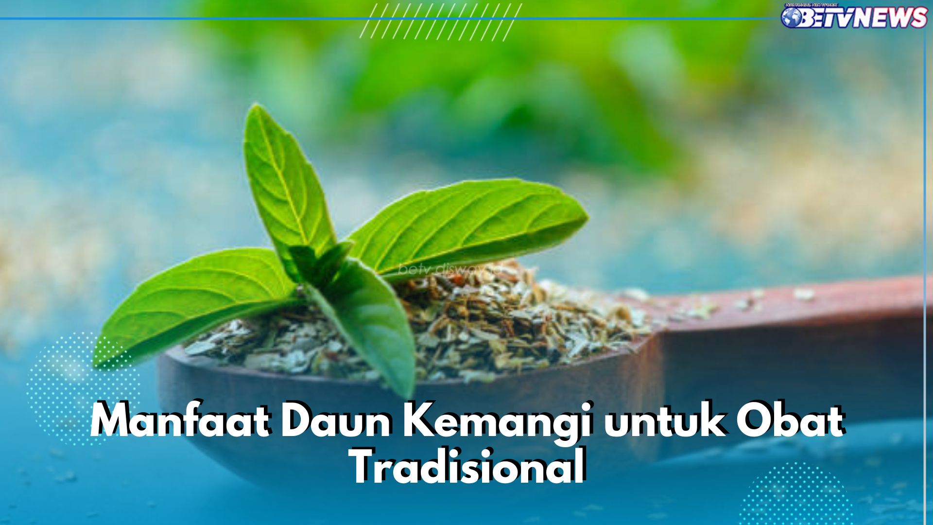 Catat! Ini 5 Manfaat Daun Kemangi untuk Obat Tradisional, Bisa Bantu Redakan Migrain hingga Turunkan Demam