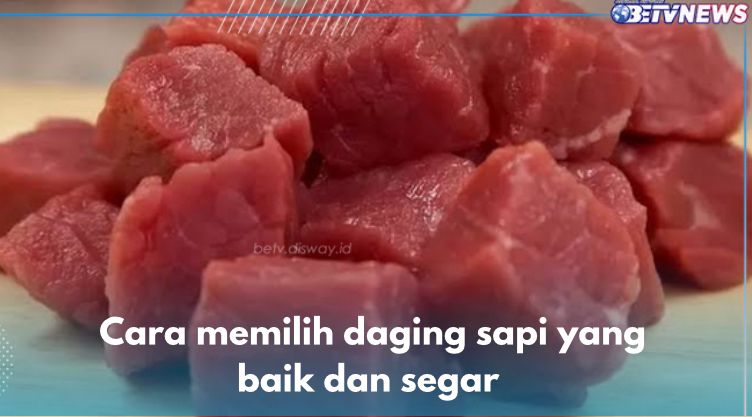 Tentukan Masakan hingga Lihat Kebersihan Tempat Penjual, Ini 5 Cara Memilih Daging Sapi yang Baik dan Segar