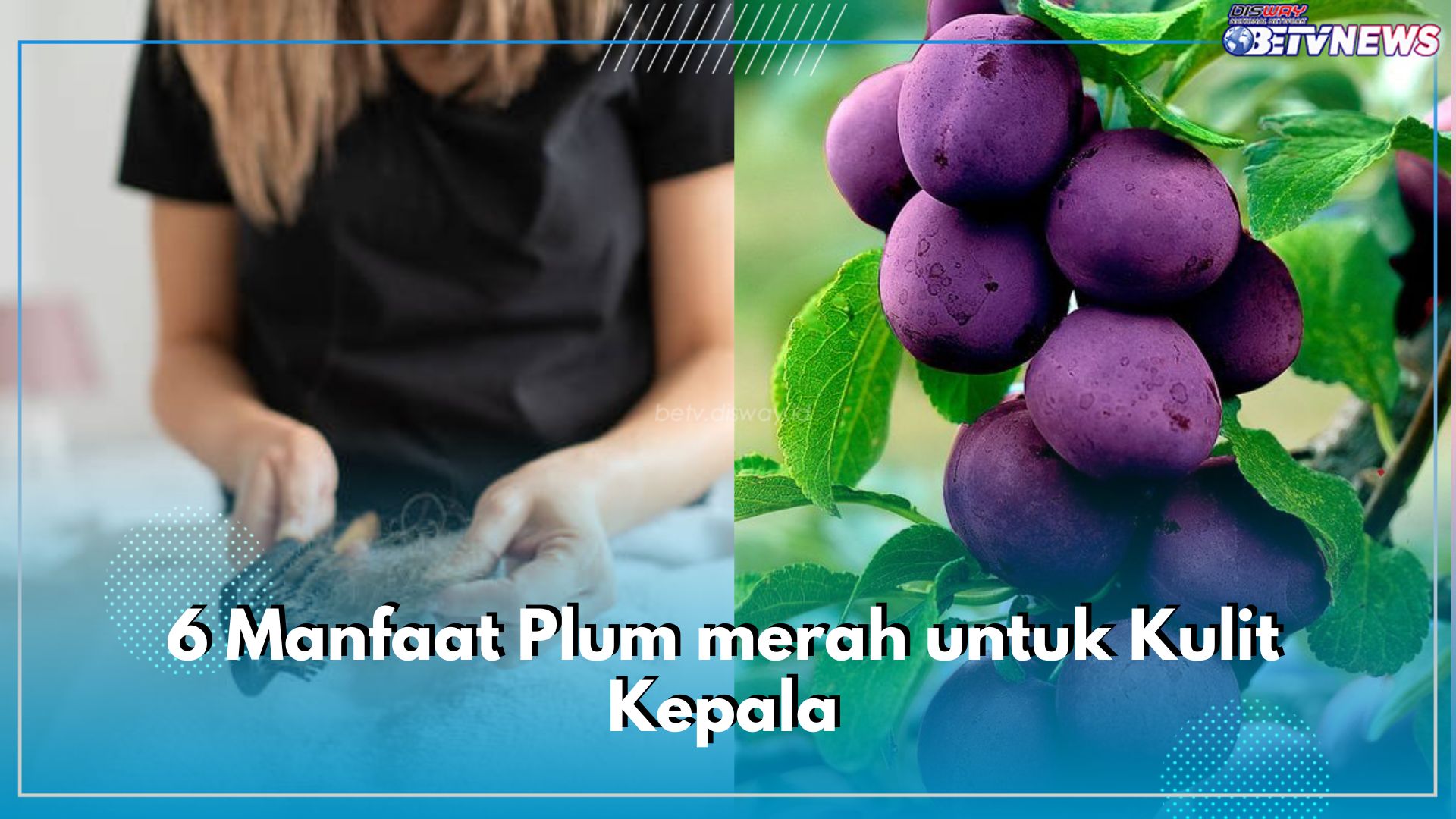 Mampu Atasi Kerontokan Rambut, Cek di Sini 6 Manfaat Buah Plum Bagi Kesehatan Kulit Kepala